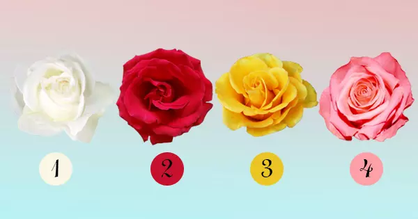 A Rosa Que Voc&ecirc; Escolher Revelar&aacute; Uma Verdade Chocante Sobre Sua Personalidade