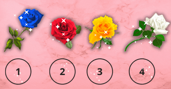 Your Favorite Rose Color Will Disclose The Date You&rsquo;ll Find True Love