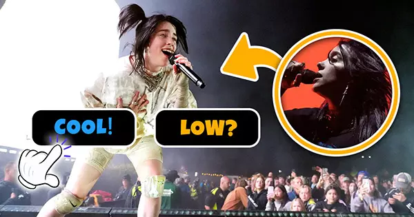 Do You Think The Billie Eilish's Performance At Coachella Was The BEST Ever?