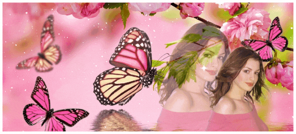 🦋Float Along This Pink Lake While Beautiful Butterflies Fly Over You