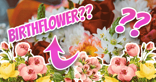 What Does Your Birth Flower Reveal About You?