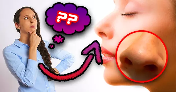What Does Your Nose Says About You?