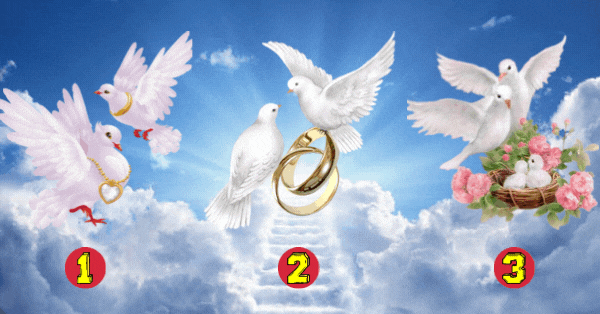 Heaven Has A Message For Everyone - Touch The Pigeon To Read Yours!