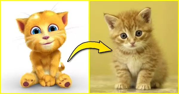 A vivid image with distinct details, showcasing a unique pattern or scene. The colors are rich and the textures are clear, making it an eye-catching visual e...