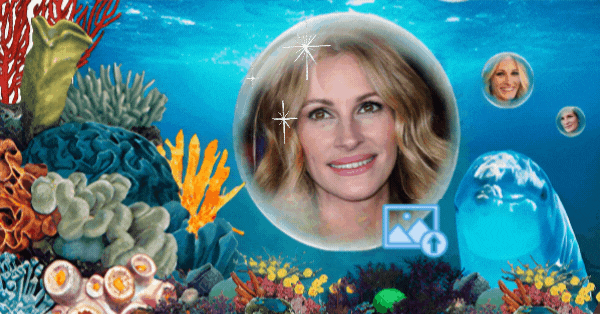 Molduras Para Fotos De Golfinhos | Preencha As Bolhas Do Oceano Com Suas Melhores Fotos!