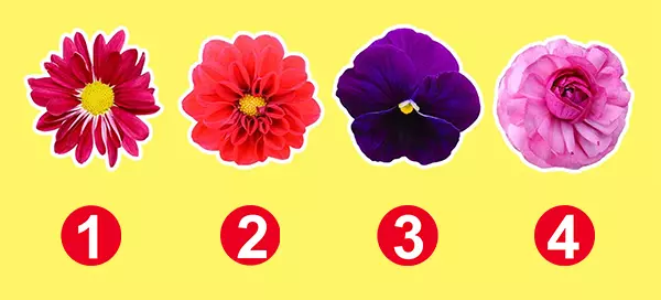 What Impression Did You Leave On Your Ex? Choose A Flower To Discover