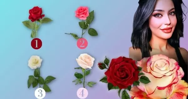 Tell Us Your Rose Frames Preference And We Will Predict Your Future In 10 Years