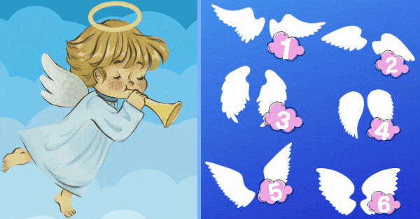 Pick Your Wings | Soul Messages From The Archangels You Need To Hear!