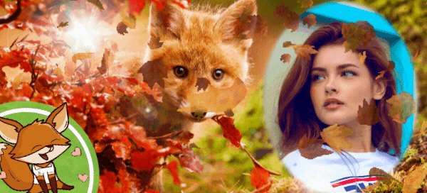 🍂Burnt Orange Leaves And This Feisty Fox Beside You - Free Download!🦊