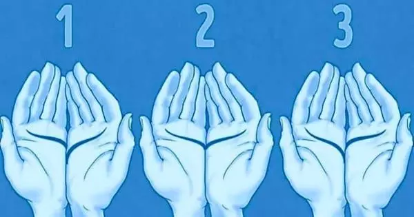 Leitura de M&atilde;os | Revele Segredos Com As Linhas da Sua M&atilde;o