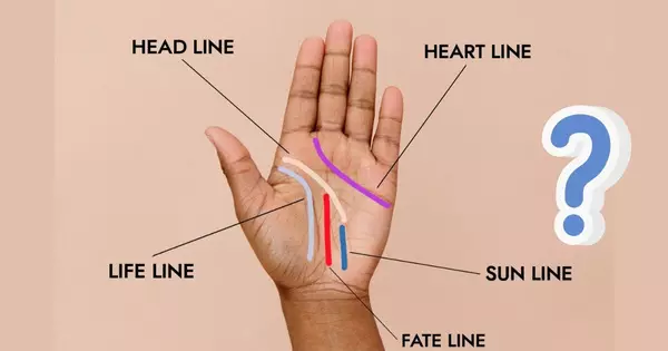 Palm Reading | Reveal The Untold Secrets By Telling Your Palm Lines!