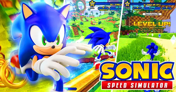 How Many Of These Sonic Speed Simulator Tricks Are You Familiar With?