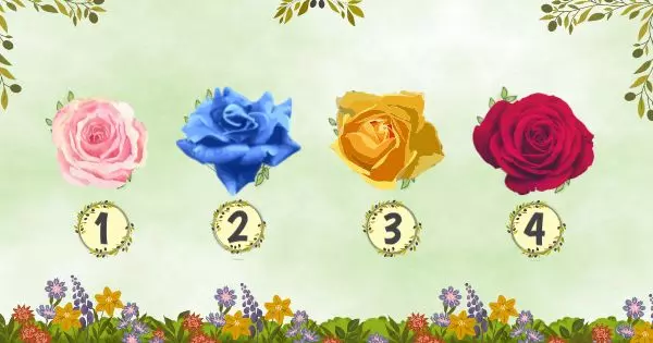 Tap On Your Favorite Rose Color And Find Out Which Area Of Your Life Will Bloom In July