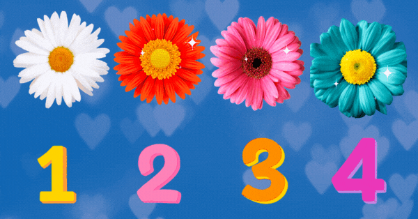 The Daisy Flower You Choose Will Reveal What Will Soon Leave Your Life