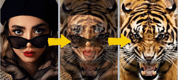 What Animal Does Your Face Look Like!