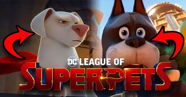 What Kind Of Super Pet Matches Your Personality?