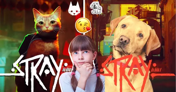 &iquest;Eres m&aacute;s un perro o un perro? Desc&uacute;brelo basado en tu preferencias de juego en Stray.