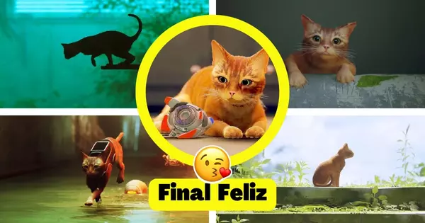 &iquest;Tendr&aacute;s un final de reuni&oacute;n en tu partida de Stray? &iexcl;Aver&iacute;gualo!