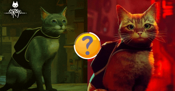 Which Cat Mod Shows Your Adventurous Side In Stray?