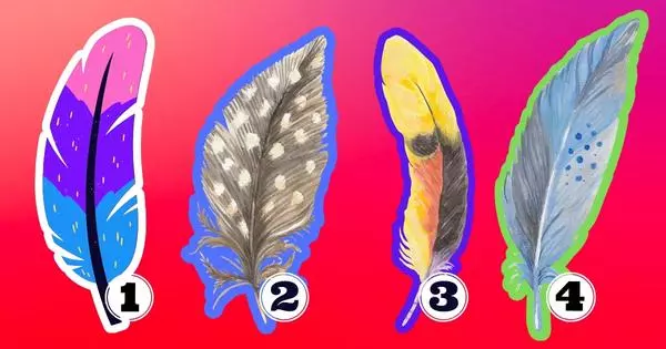 The Feather You Choose Will Reveal Your Deepest Desires!