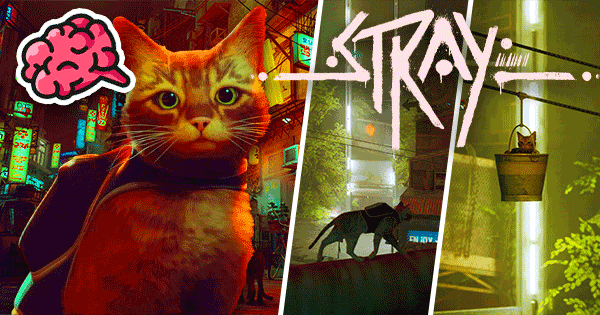 Done Playing Stray? Now It's Time To Test Your Knowledge About This Video Game!