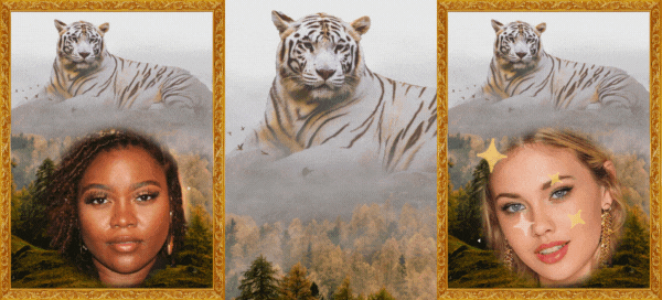 🐯Up Close And Personal With This Majestic White Tiger - Free Download