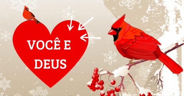 Toque No Cardeal Vermelho E Descubra Quem Sempre Voa Ao Seu Lado