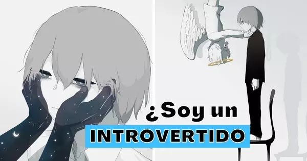 &iquest;Qu&eacute; Tipo De Introvertido Soy?