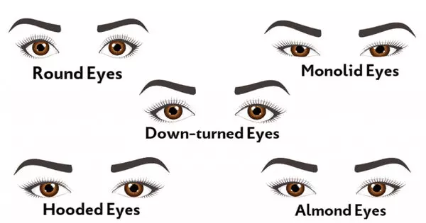What Is Your Eye Shape?