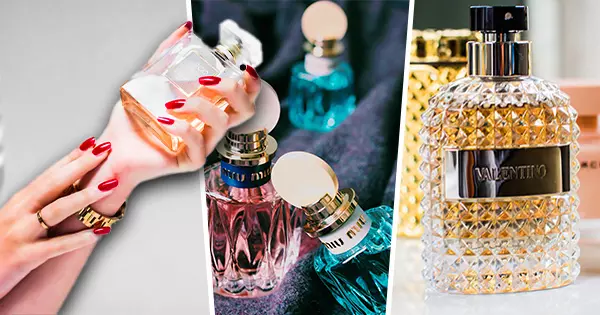 Which Perfume Should You Try?