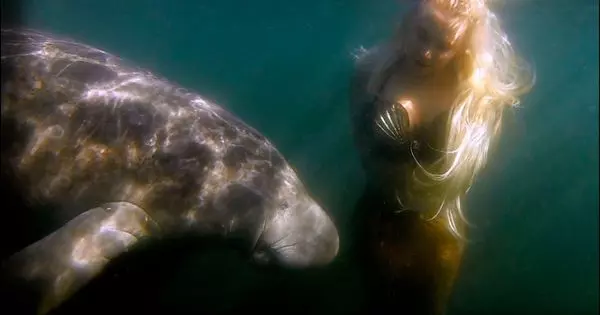 Find Out Your Hidden Attributes, Are You A Mermaid Or A Manatee?