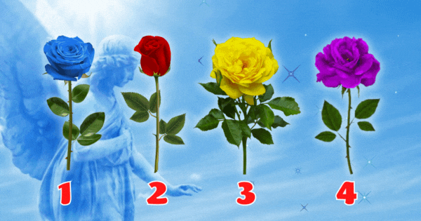 Dein Schutzengel hat eine Botschaft f&uuml;r dich! W&auml;hle eine Rose, um sie zu erhalten!