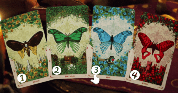 Pick A Butterfly Tarot Card To Find Out What Your Soul Truly Desires!