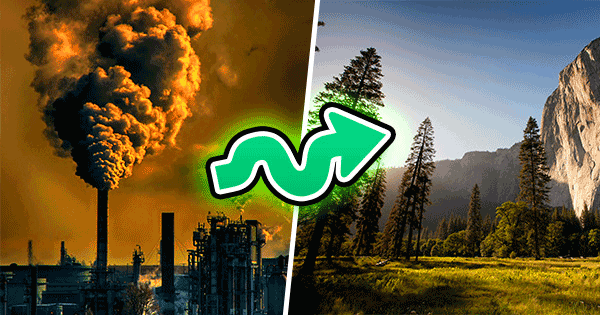 Can You Save Global Warming?