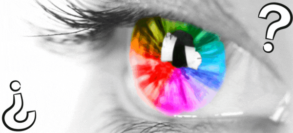 Are You Color Blind Answer These Questions To Reveal!