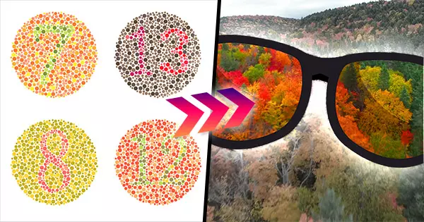 Let's See Whether You're Color Blind Or Not With This Quiz!
