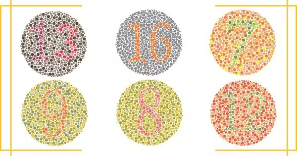 &Ecirc;tes-Vous Daltonien ? Testez Votre Vision Maintenant !