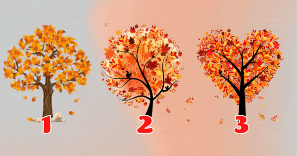 Choose The Most Beautiful Autumn Tree To Receive An Important Message
