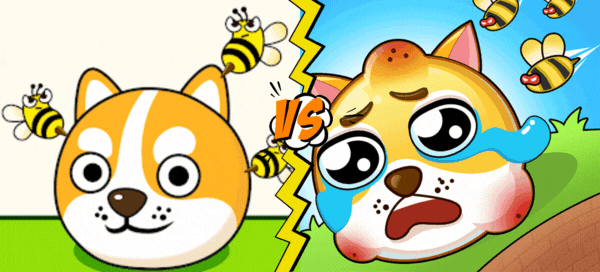 Which Cute Dog Represents You Better In X-Hero Save The Doge?