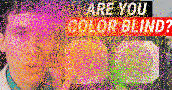 Are You Color Blind? These Pictures Will Tell You How Bad Your Color Perception Is!
