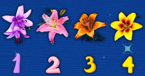 &iquest;Tu Crush Siente Lo Mismo? &iexcl;Elige Una Flor De Lirio Para Descubrirlo!