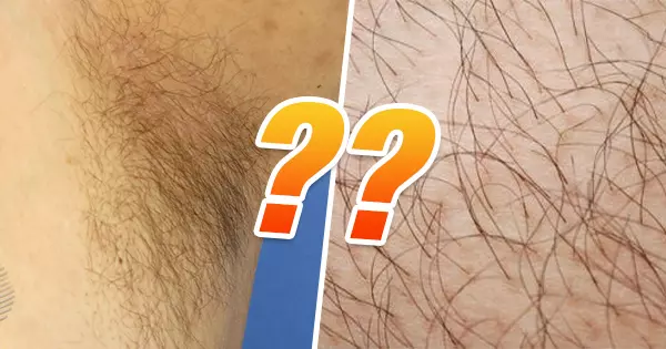 What Does Your Body Hair Says About You?