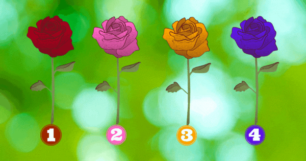 &iexcl;Averigua Qu&eacute; Dice Tu Rosa Favorita Sobre Tu Futuro Amoroso! &iexcl;Haz La Prueba Ahora!