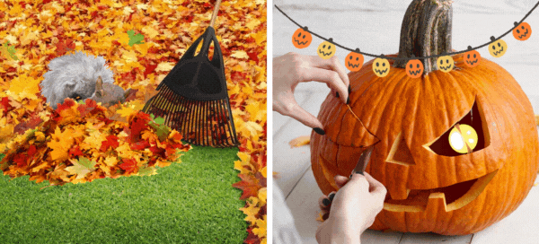 If You Do All Of These Autumn Activities, Then This Season Is Definitely Your Favorite One