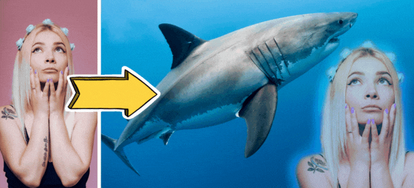 🦈Create Your Underwater Photo With Fearsome Shark