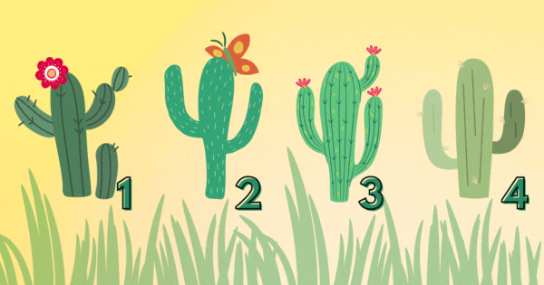 Revele O Lado Escuro Da Sua Alma! Escolha Um Cacto Para Descobrir!