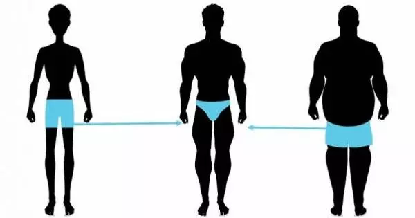 Are You Muscular, Overweight, Average, Or Skinny?