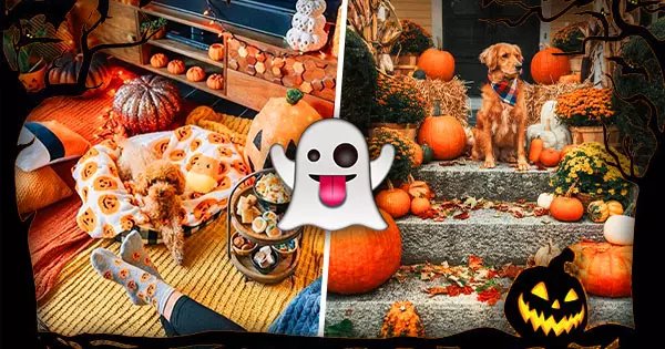 Build Your Halloween Spooky Aesthetic And We'll Guess Your Age With 99.9% Accuracy.