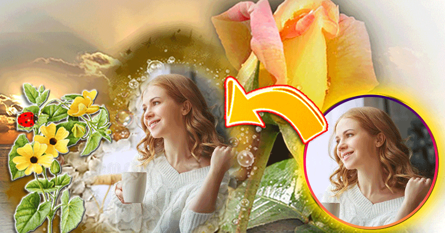 Cheer Up! Share Your Photo With The Yellow Rose