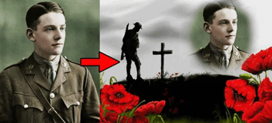 Remembrance Day | Honor Armed Forces Members Who Have Died In WW1